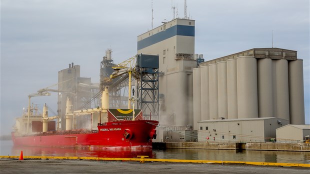 Plusieurs navires à l'ancre à la hauteur de Sorel-Tracy